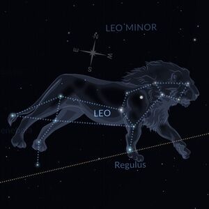 Meet your Posher, Leo